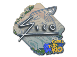 Sico CS2 Sticker
