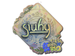 siuhy (Holo) CS2 Sticker