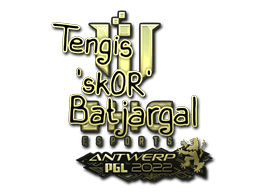sk0R (Gold) CS2 Sticker