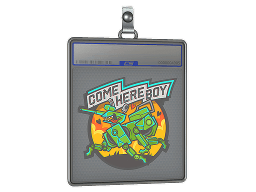 Come Here Boy CS2 Sticker