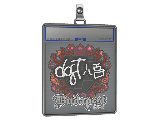 dgt CS2 Sticker