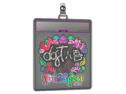 dgt (Holo) CS2 Sticker