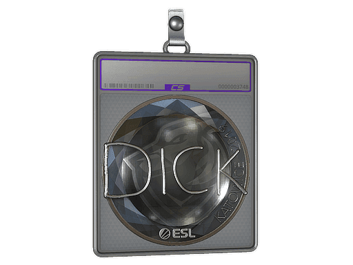 DickStacy (Foil) CS2 Sticker