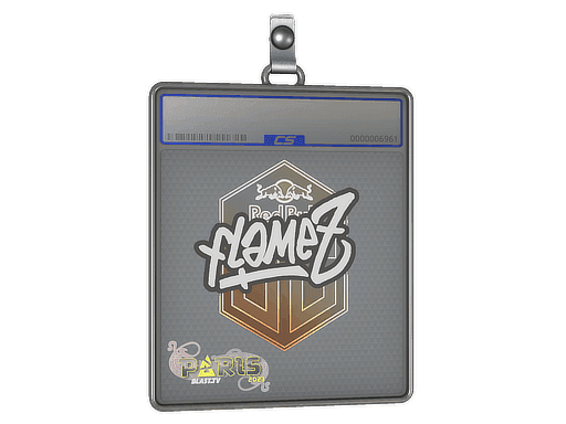 FlameZ CS2 Sticker
