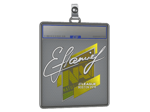 flamie CS2 Sticker