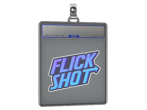 Flick Shotter CS2 Sticker