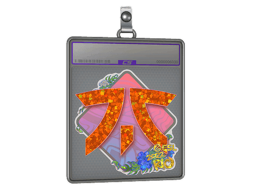 Fnatic (Glitter) CS2 Sticker