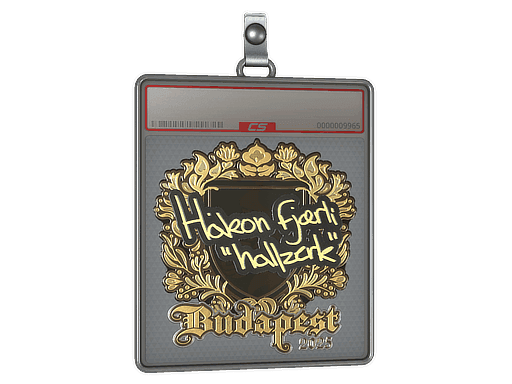 hallzerk (Gold) CS2 Sticker