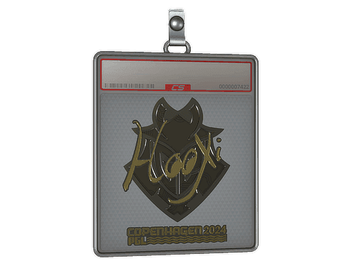 HooXi (Gold) CS2 Sticker
