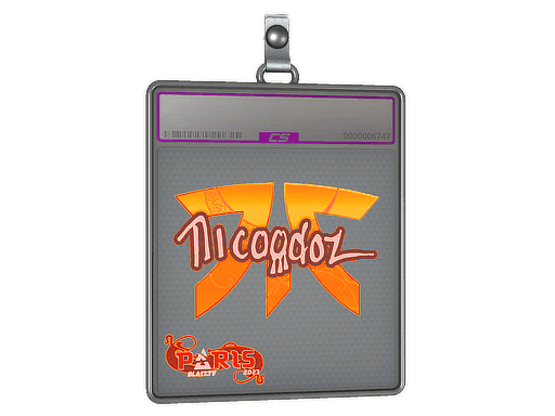 nicoodoz (Holo) CS2 Sticker