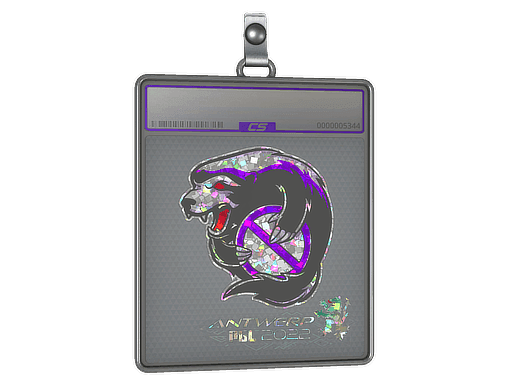 Outsiders (Glitter) CS2 Sticker
