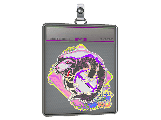 Outsiders (Holo) CS2 Sticker