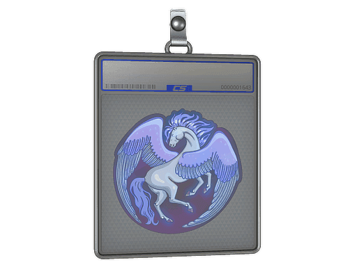 Pegasus CS2 Sticker