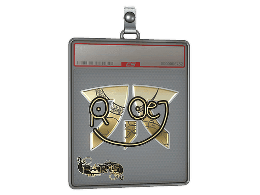 roeJ (Gold) CS2 Sticker