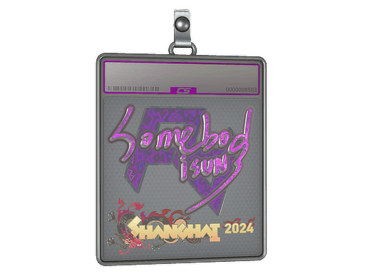 somebody (Holo) CS2 Sticker