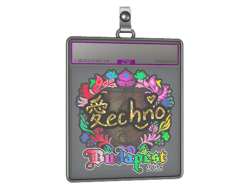 Techno4K (Holo) CS2 Sticker
