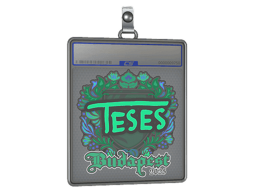 TeSeS CS2 Sticker
