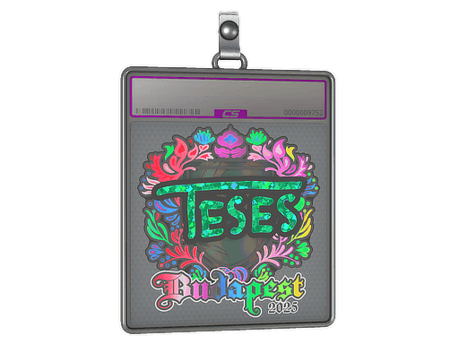 TeSeS (Holo) CS2 Sticker