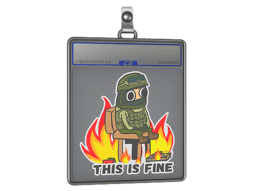 This Is Fine (CT) CS2 Sticker