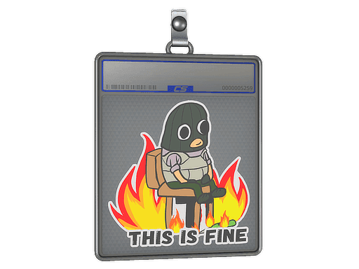 This Is Fine (T) CS2 Sticker