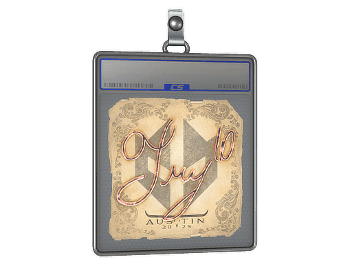 TRY CS2 Sticker