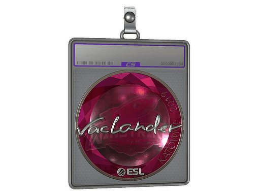wayLander (Foil) CS2 Sticker
