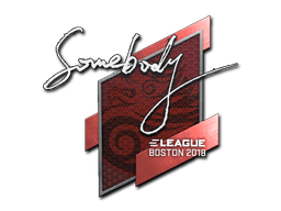 somebody CS2 Sticker