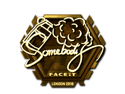 somebody (Gold) CS2 Sticker