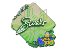 Staehr CS2 Sticker