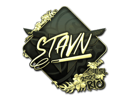 stavn (Gold) CS2 Sticker