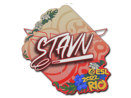 stavn CS2 Sticker
