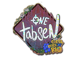 tabseN (Glitter) CS2 Sticker