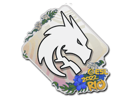 Team Spirit CS2 Sticker