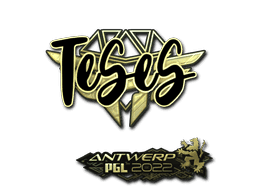 TeSeS (Gold) CS2 Sticker