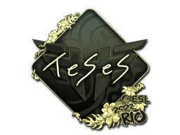 TeSeS (Gold) CS2 Sticker