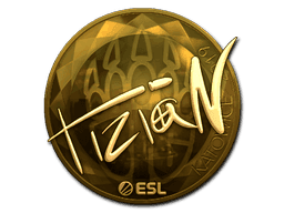 tiziaN (Gold) CS2 Sticker