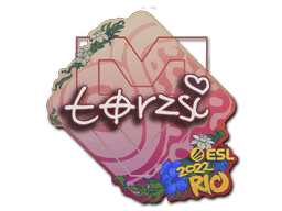 torzsi CS2 Sticker