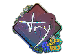 TRY (Glitter) CS2 Sticker