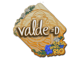 v4lde CS2 Sticker