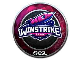 Winstrike Team (Foil) CS2 Sticker