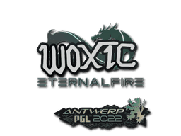 woxic CS2 Sticker