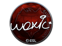 woxic (Foil) CS2 Sticker