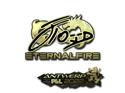 xfl0ud (Gold) CS2 Sticker