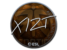 Xizt (Foil) CS2 Sticker