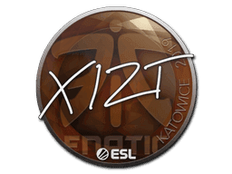 Xizt CS2 Sticker