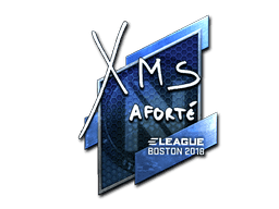 xms (Foil) CS2 Sticker