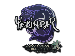 YEKINDAR CS2 Sticker