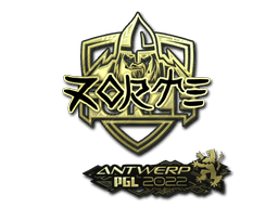 zorte (Gold) CS2 Sticker
