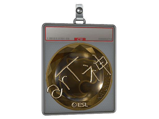 arT (Gold) CS2 Sticker