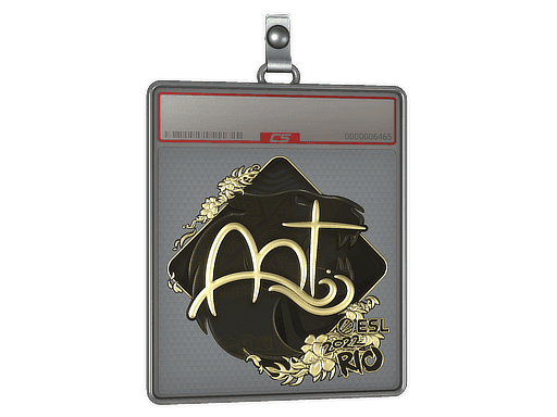 arT (Gold) CS2 Sticker